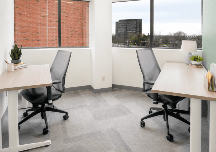 Modern office space with two desks and ergonomic chairs near large windows.