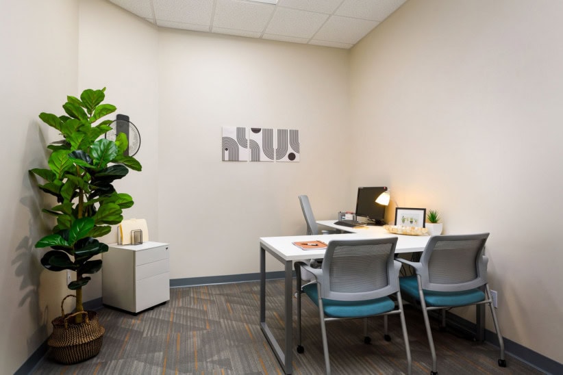 Modern office space with a desk, chairs, and a large plant for a professional environment.