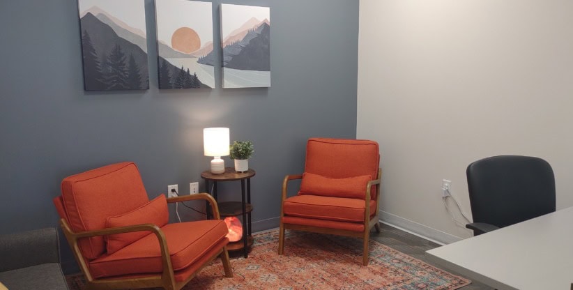 Conversation/Therapy Room