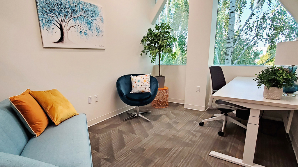 private office to meet with clients. ideal for business coaches and therapists. in Hillsboro, near Orenco