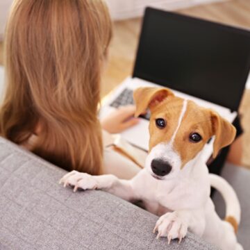 Dog popping up while a women is working