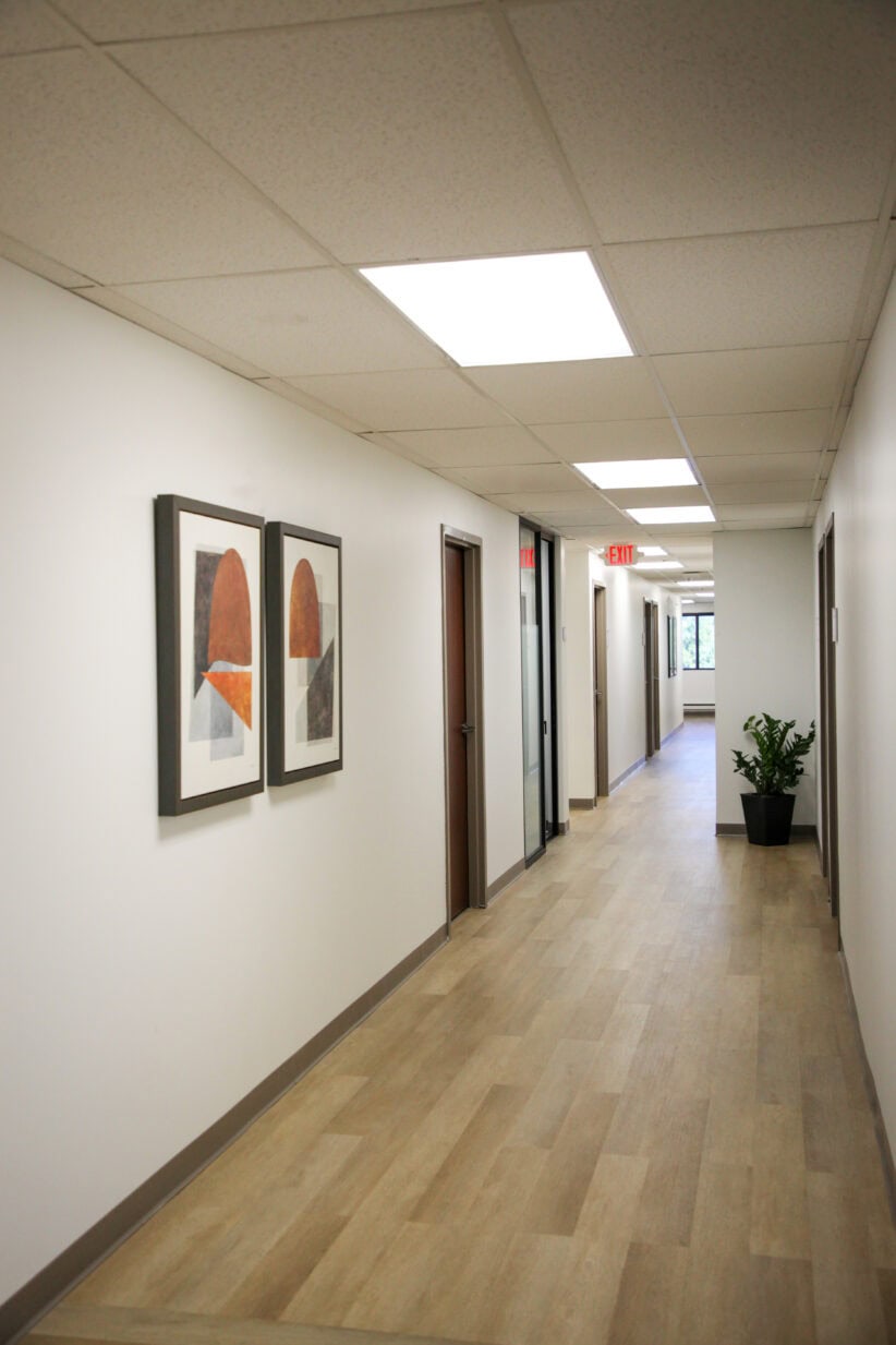 Modern office corridor with artwork and potted plant, promoting professional workspaces.