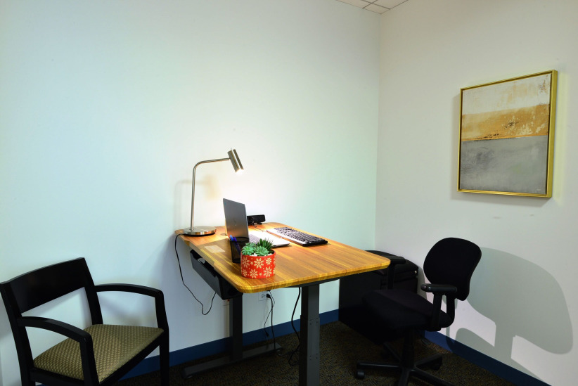 Conversation/Therapy Room