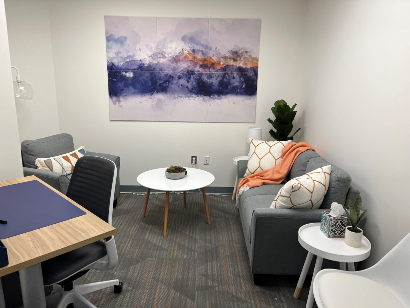Conversation/Therapy Room