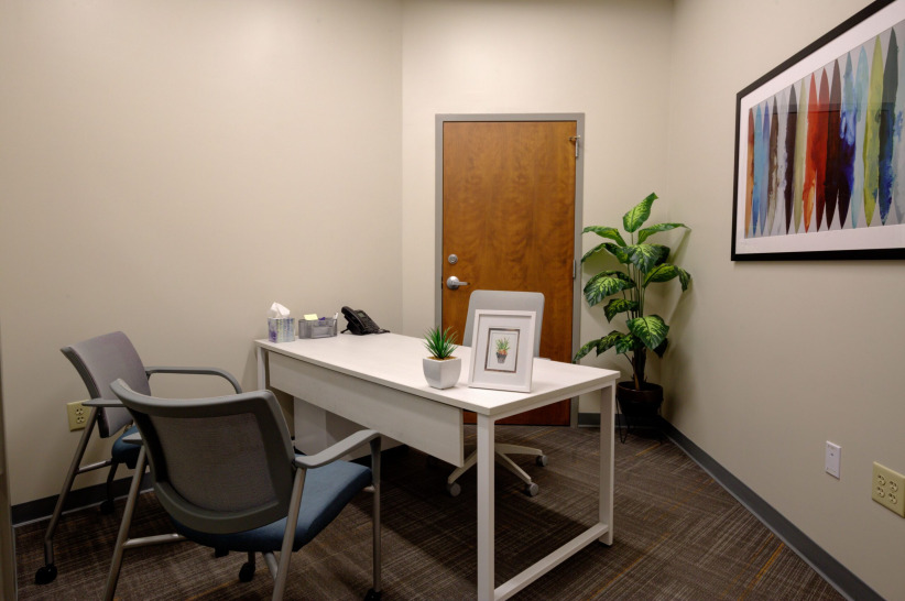 Modern office meeting room with desk, chairs, indoor plants, and artwork for professional workspace at Office Evolution.